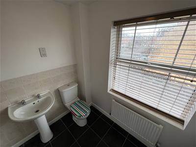 Picture 22